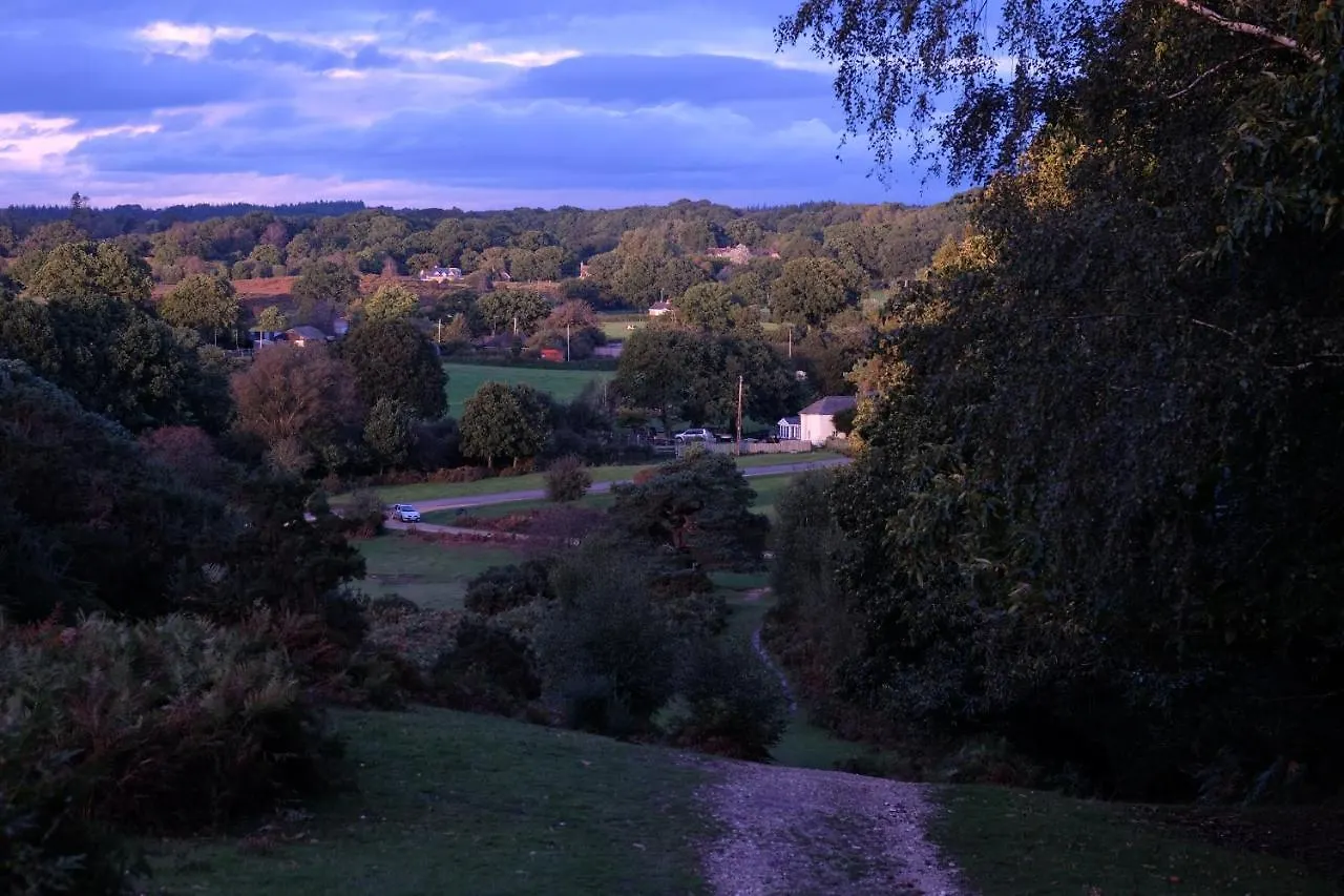 Spacious & Charming Apartment By The New Forest Ringwood