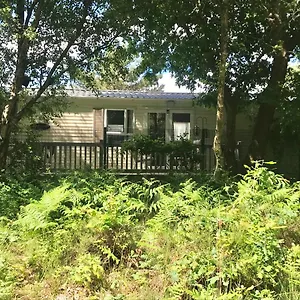 Forest View At Oakdene Forest Park - Leisure Passes Included! Ringwood